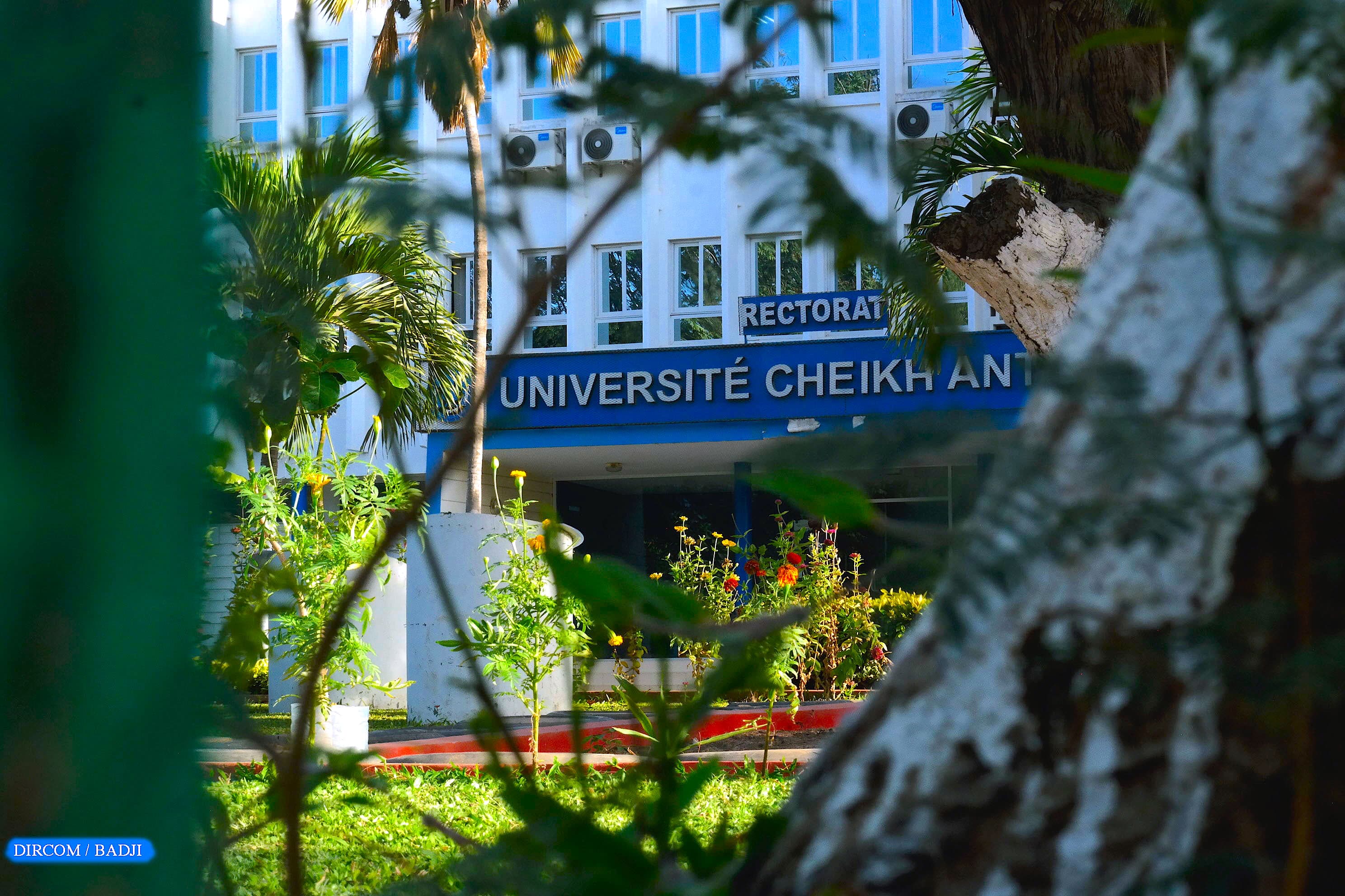 KONU UCAD