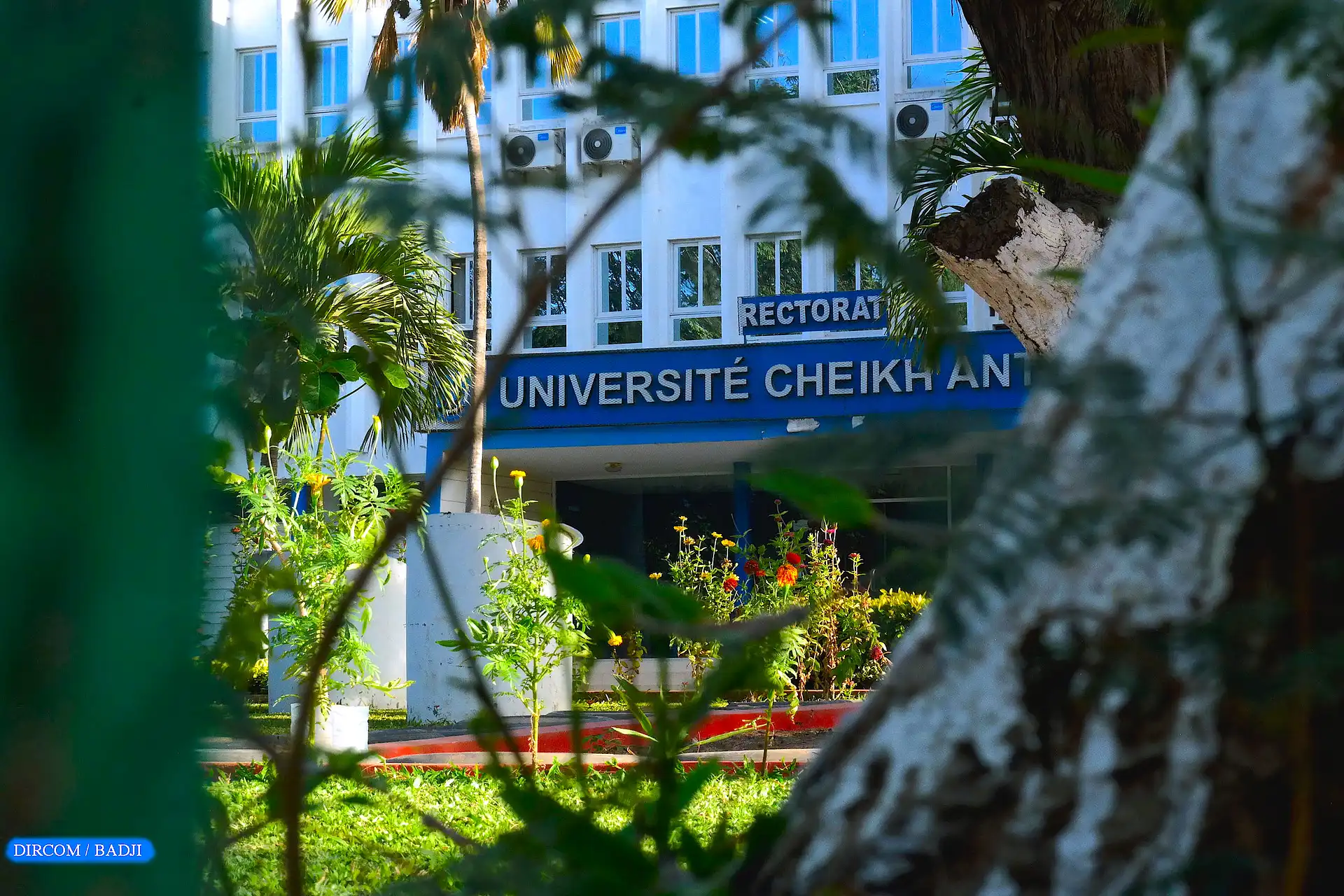 KONU UCAD